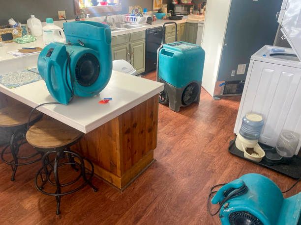 Best Professional water damage repair  in Estherville, IA
