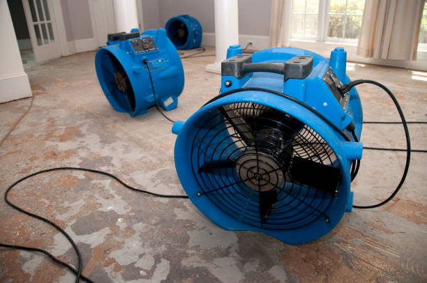 Best Fire Damage Restoration  in Estherville, IA